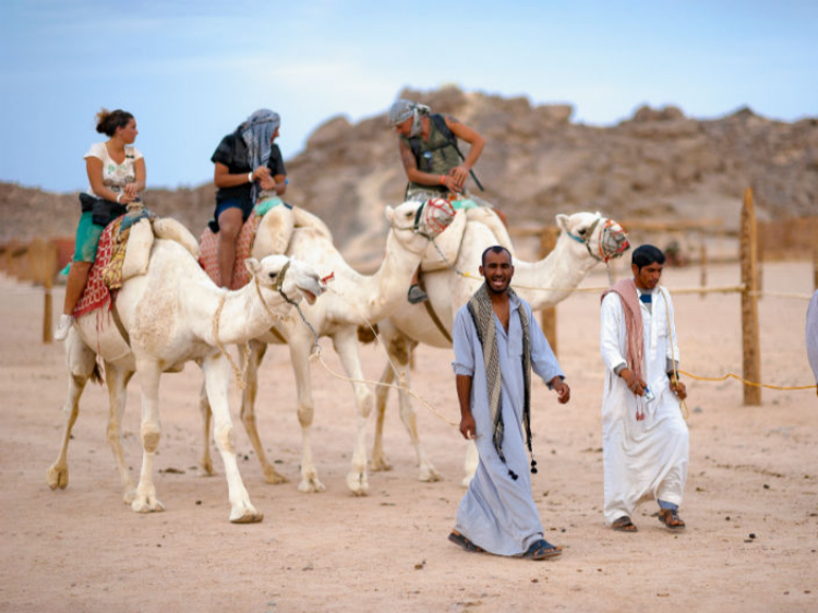 Singlereis Egypte 15-daagse rondreis