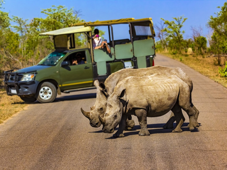 Singlereis Zuid-Afrika Kaapstad-Kruger N.P. 15-daagse rondreis