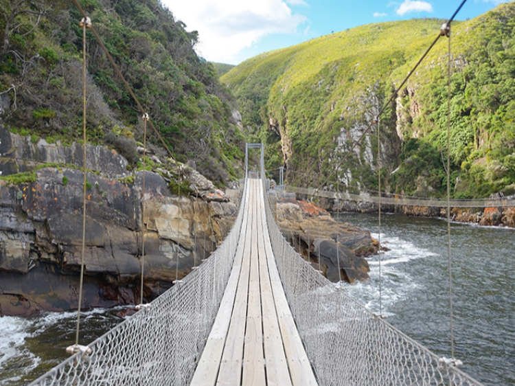 Singlereis Zuid-Afrika Kaapstad-Kruger N.P. 15-daagse rondreis