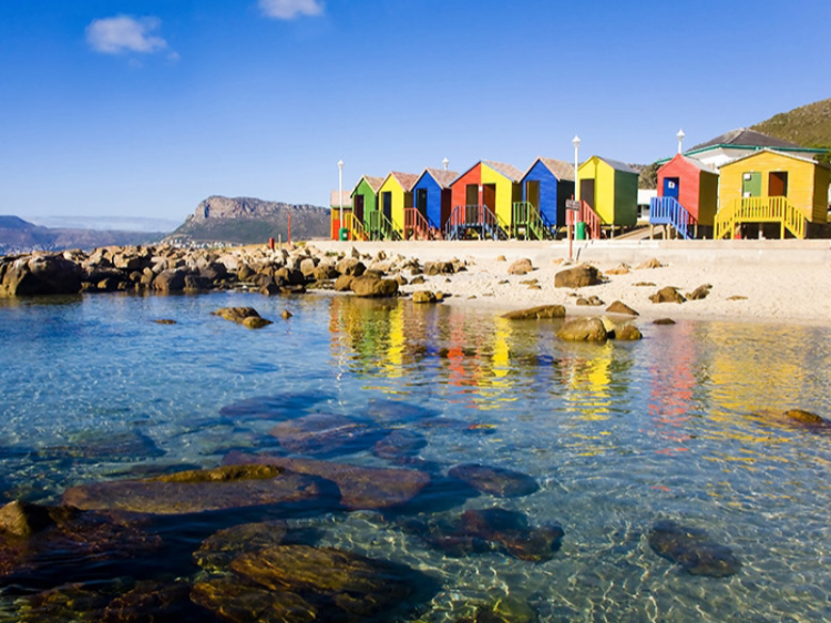 Singlereis Zuid-Afrika Kaapstad-Kruger N.P. 15-daagse rondreis