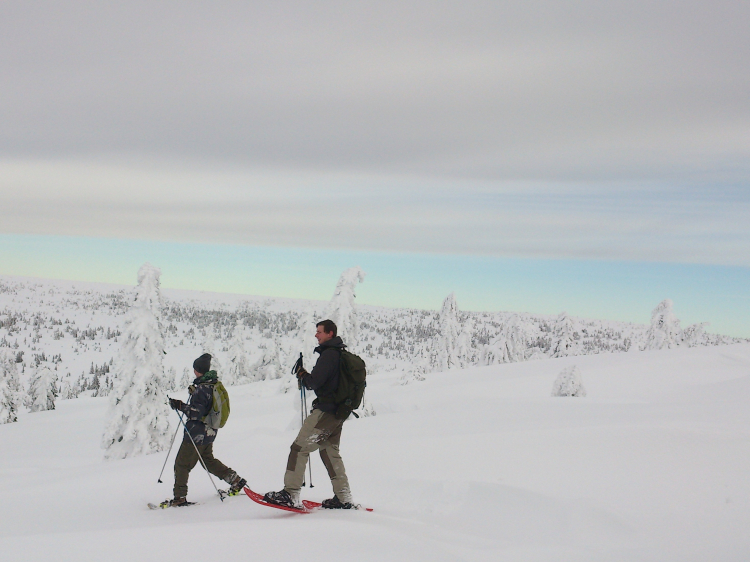 Groepsreis Actieve winterreis Varmland in Zweden
