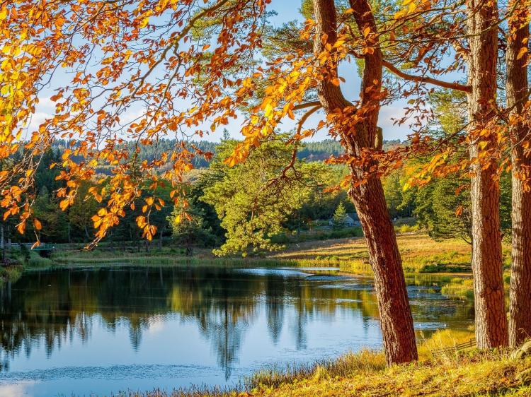 Singlereis Actieve vakantie Herfst in Zweden