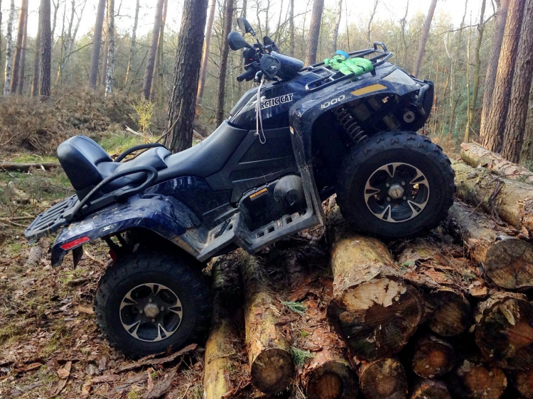 Singlereis Actieve vakantie Herfst in Zweden