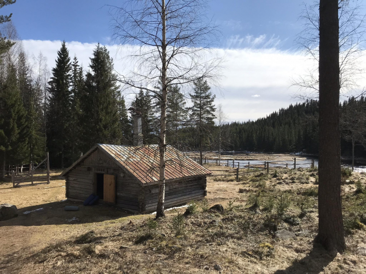 Singlereis Actieve vakantie Herfst in Zweden