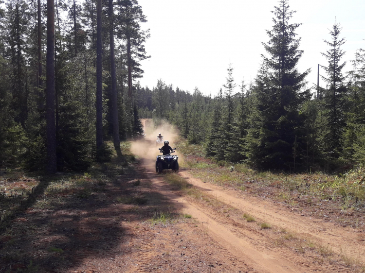 Singlereis Actieve vakantie Herfst in Zweden