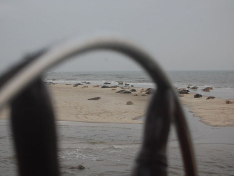 Groepsreis Zeilweekend Rondom Terschelling