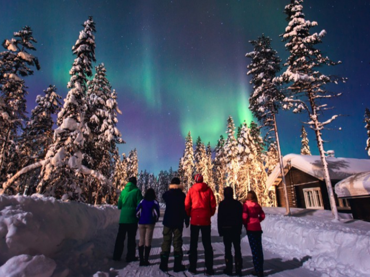 Singlereis Avontuurlijk in Fins Lapland