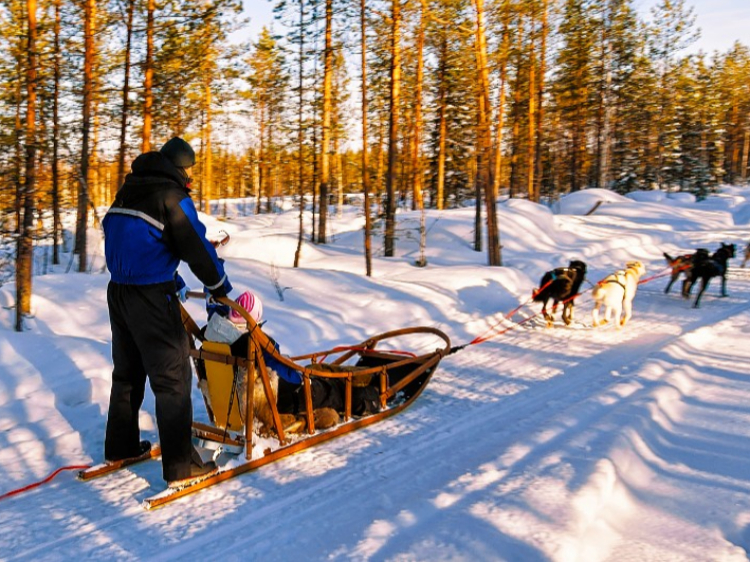 Singlereis Avontuurlijk in Fins Lapland