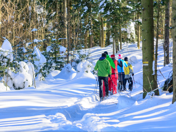 Singlereis Avontuurlijk in Fins Lapland