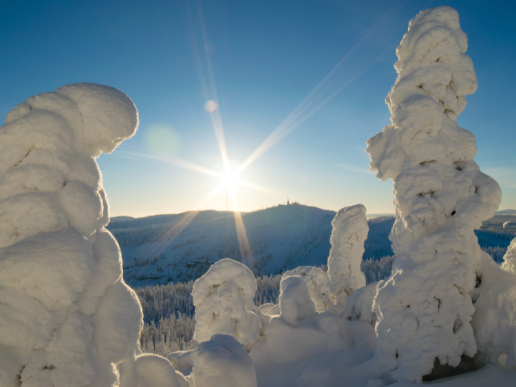 Singlereis Avontuurlijk in Fins Lapland