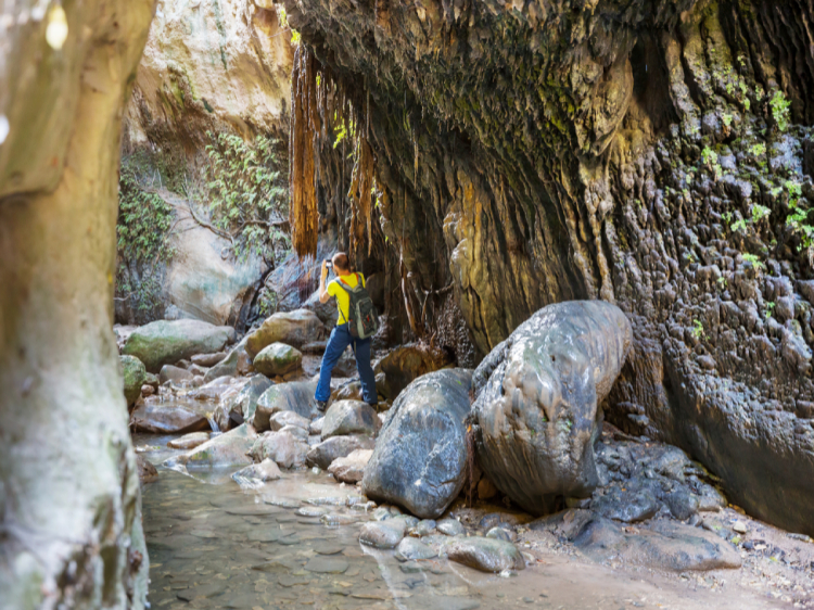 Singlereis Cyprus 8-daagse rondreis