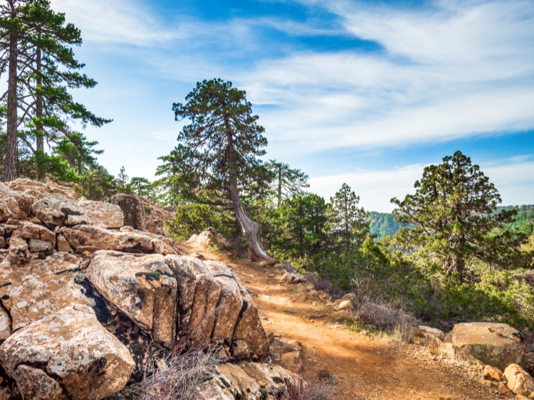 Singlereis Cyprus 8-daagse rondreis