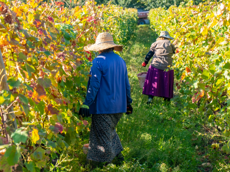 Singlereis 17-daagse rondreis Armenië en Georgië