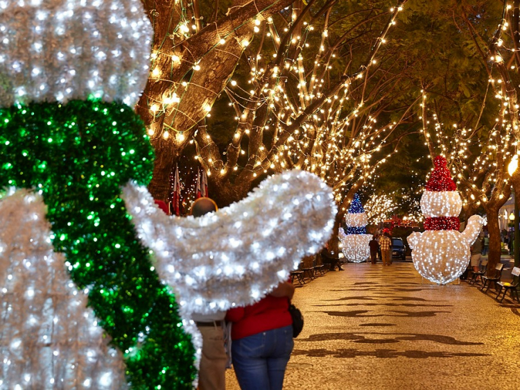 Singlereis Zonnige Kerstdagen op Madeira
