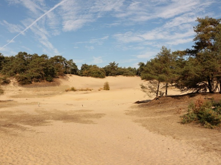 Singlereis Genieten tijdens de feestdagen in St. Michielsgestel