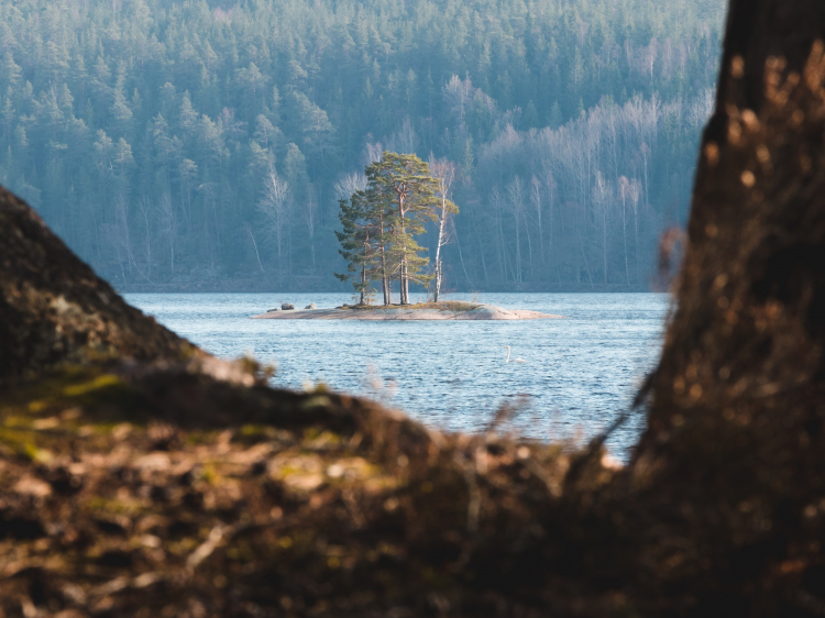 Groepsreis Midsummer Zweden Vol actie en avontuur