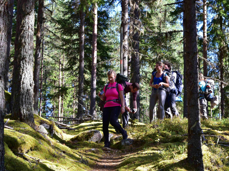 Groepsreis Midsummer Zweden Vol actie en avontuur