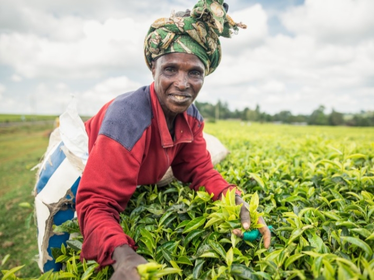 Singlereis Kenia, Tanzania & Zanzibar 22-daagse rondreis