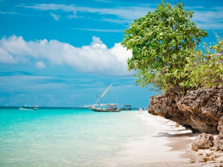 Singlereis Kenia, Tanzania & Zanzibar 22-daagse rondreis