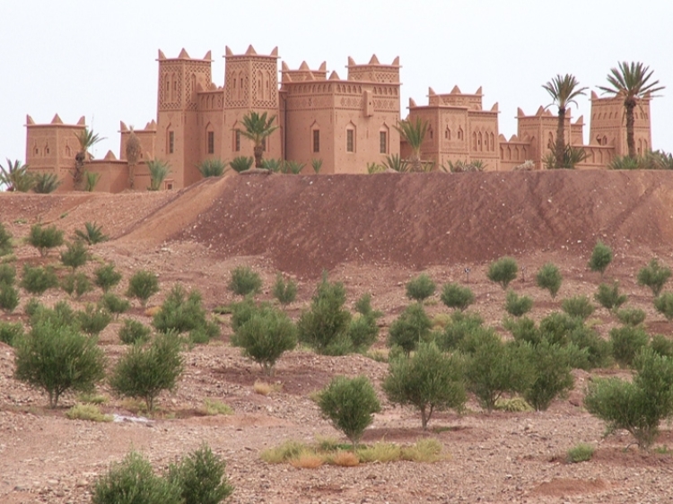 Singlereis Marokko Zuid 15-daagse rondreis