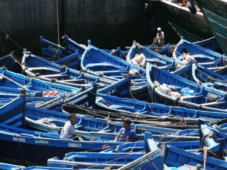 Singlereis Marokko Zuid 15-daagse rondreis