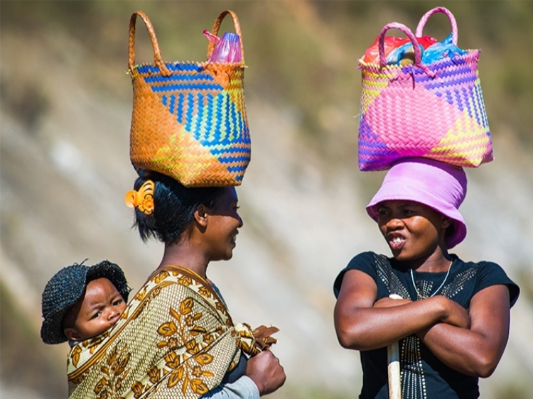 Singlereis Madagaskar 24-daagse rondreis