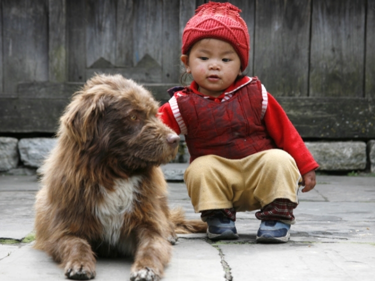 Singlereis Nepal Everest Basecamp