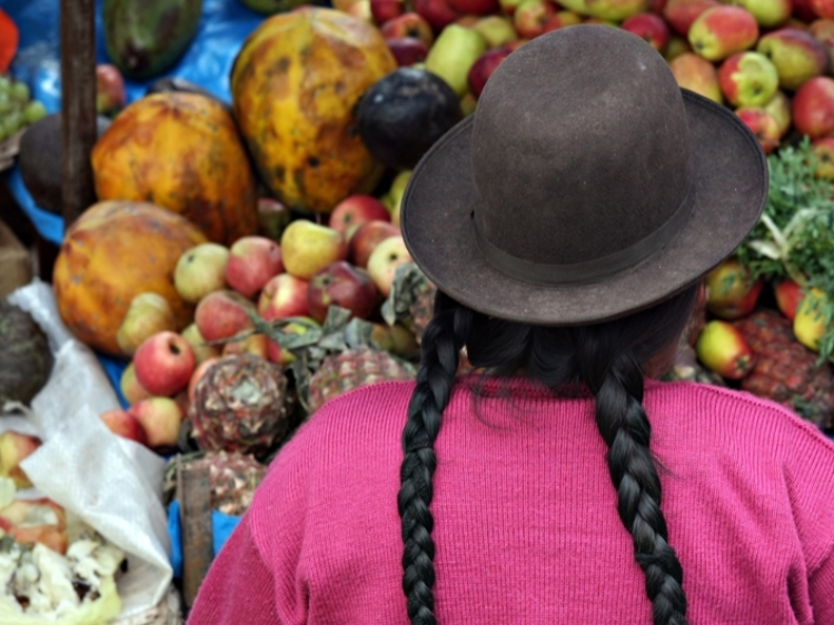 Singlereis Peru 17-daagse rondreis