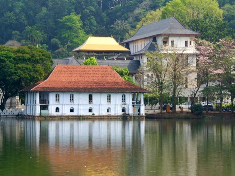 Singlereis Sri Lanka 15-daagse rondreis