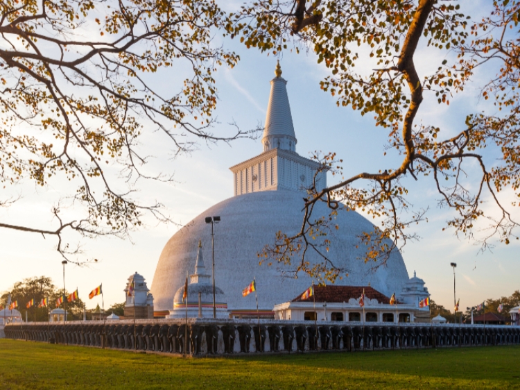 Singlereis Sri Lanka 15-daagse rondreis