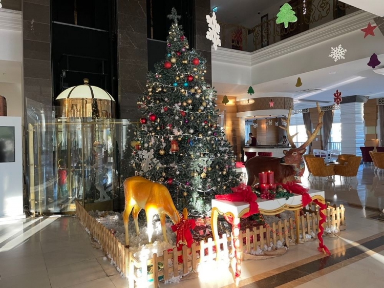 Singlereis Zonnige Feestdagen in Side