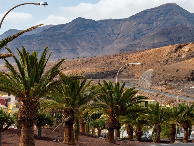 Singlereis Winterzon op Fuerteventura 