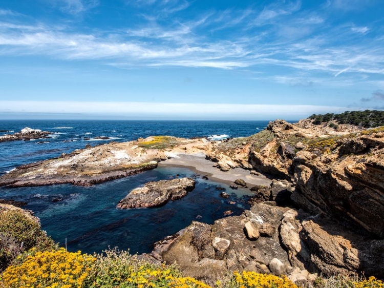 Singlereis Winterzon op Fuerteventura 