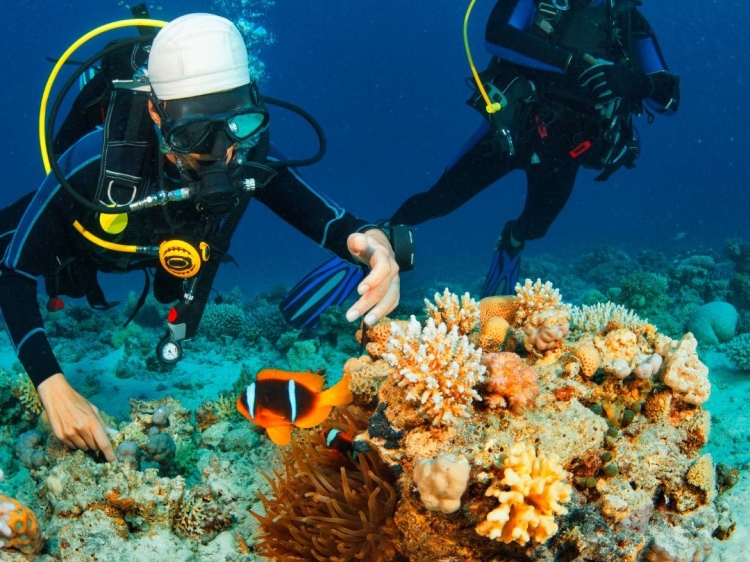 Singlereis Winterzon op Fuerteventura 