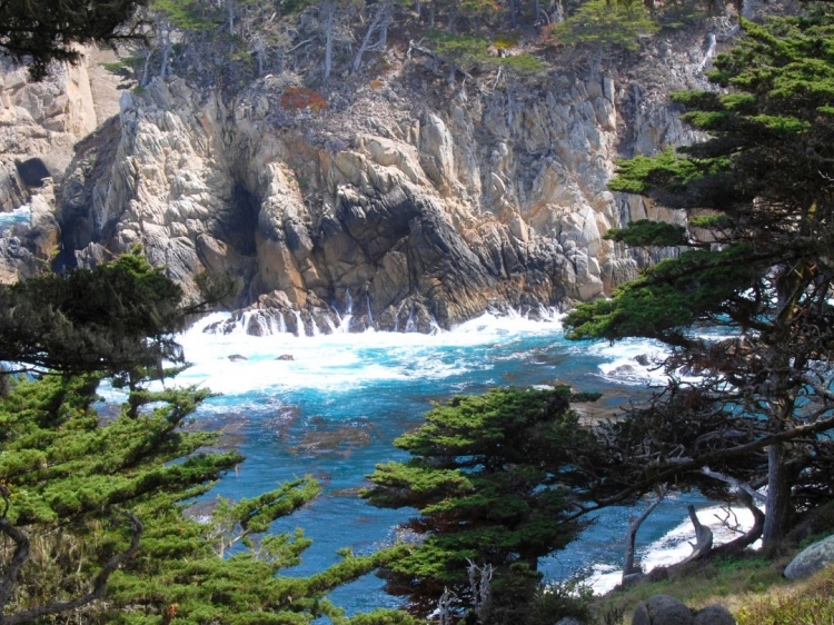 Singlereis Winterzon op Fuerteventura 