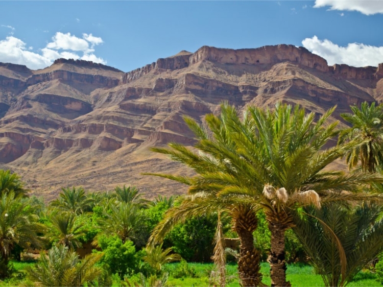 Singlereis Actieve rondreis door cultureel Marokko