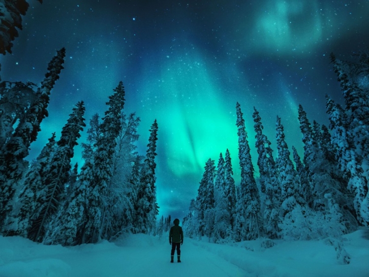 Singlereis HBO+ Ontdek Fins Lapland