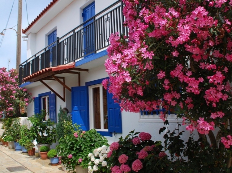 Singlereis Zon, Zee en Strand op Samos