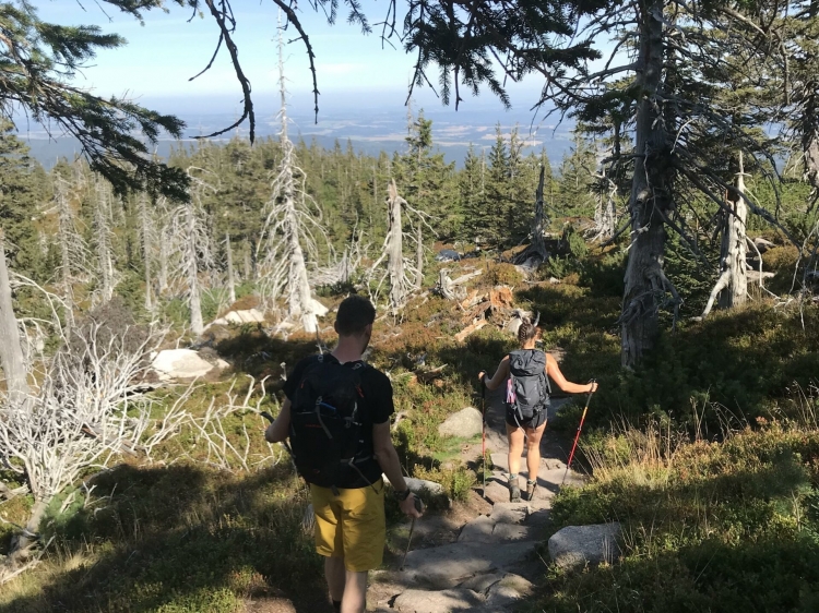 Singlereis Hiken door  Het Poolse Reuzengebergte 