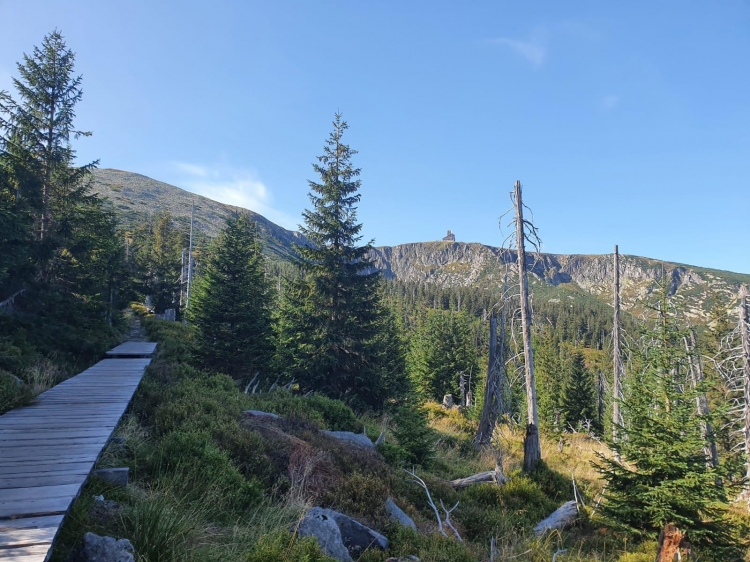 Singlereis Hiken door  Het Poolse Reuzengebergte 