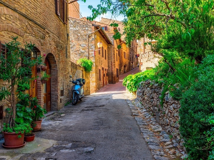 Singlereis Genieten van Zon en Cultuur in Toscane