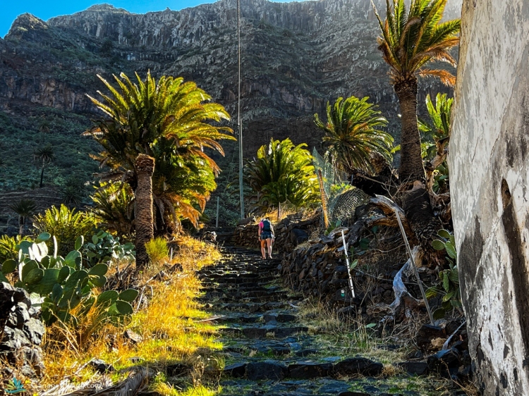 Groepsreis Hiken op La Gomera & El Hierro GR131 Camino Natural