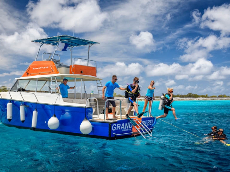 Singlereis Duikvakantie Bonaire  het Duikersparadijs