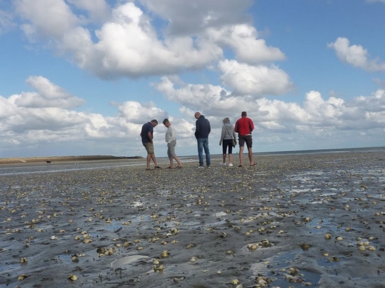 Groepsreis Zeilweekend Rondom Terschelling