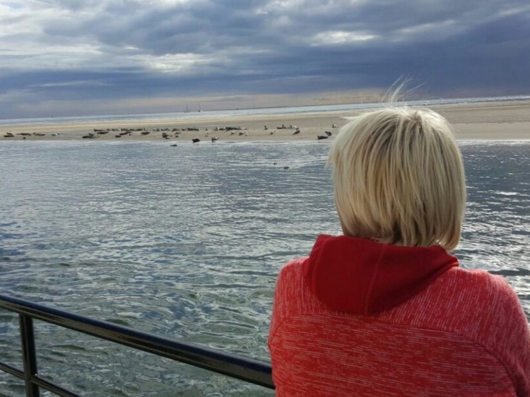 Groepsreis Zeilweekend Rondom Terschelling