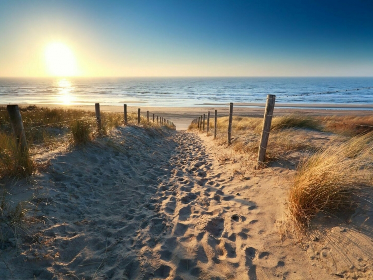 Singlereis Eilandhoppen Van Terschelling naar Vlieland