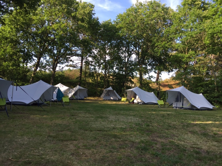 Singlereis Eilandhoppen Van Terschelling naar Vlieland