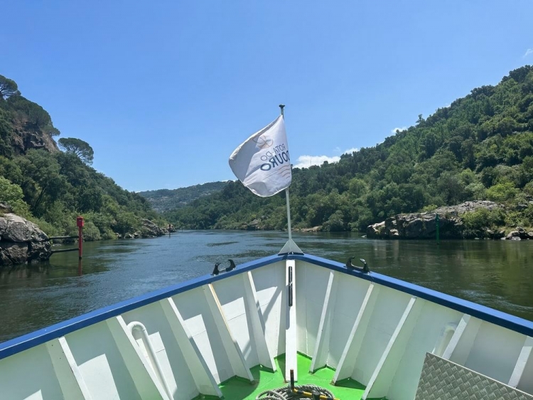 Singlereis Zorgeloze Zonvakantie in Porto