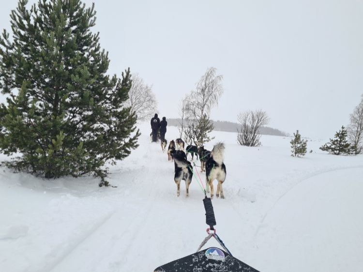 Groepsreis Noorderlicht Avontuur In Zweeds Lapland