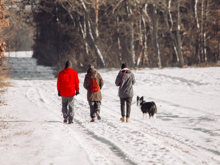 Singlereis Genieten tijdens de feestdagen op de Veluwe